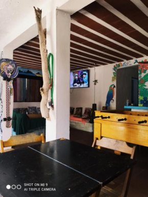 Raizes Surf and Bar Hostel